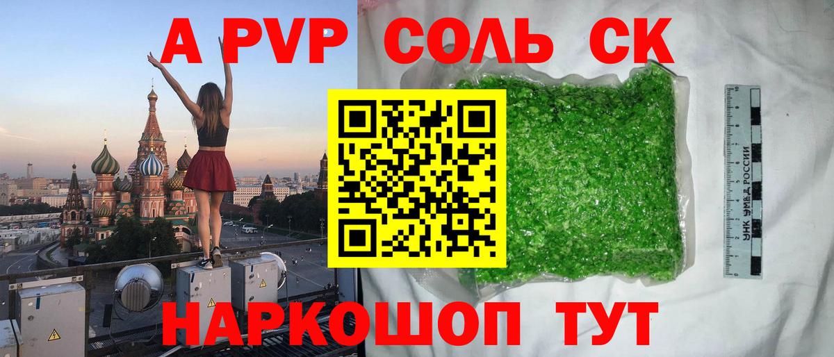 Альфа ПВП СК Кузнецк