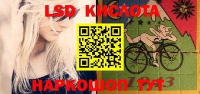 прущие крисы Шелехов