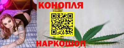 ешки Шебекино