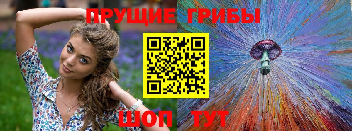 Галлюциногенные грибы мухоморы  Псилоцибиновые грибы ЛСД  Кузнецк  Вход с VPN 